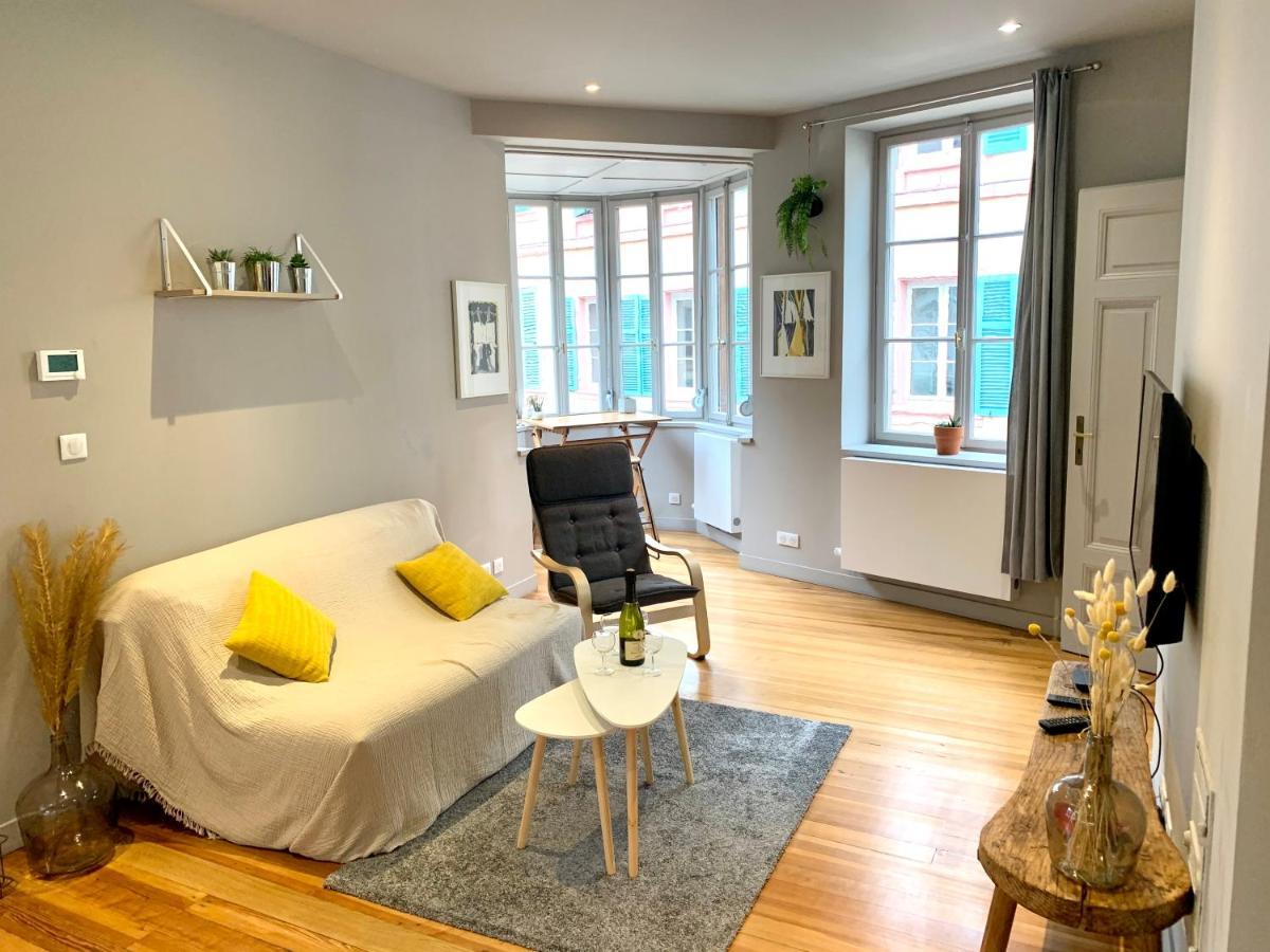Appartement Hyper-Centre Colmar Luaran gambar